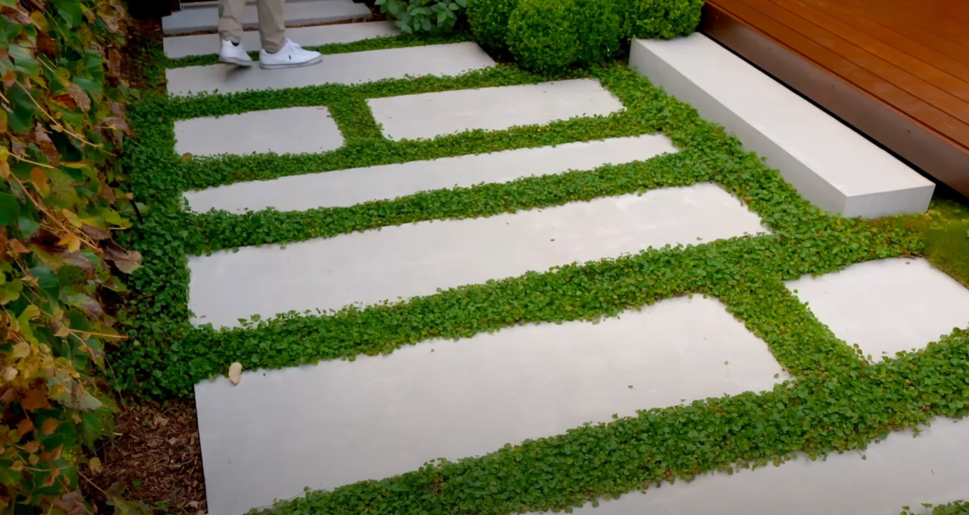 Innovative hardscaping design with concrete pavers and low-maintenance ground cover Modern concrete stepping stones with ground cover plantings in between