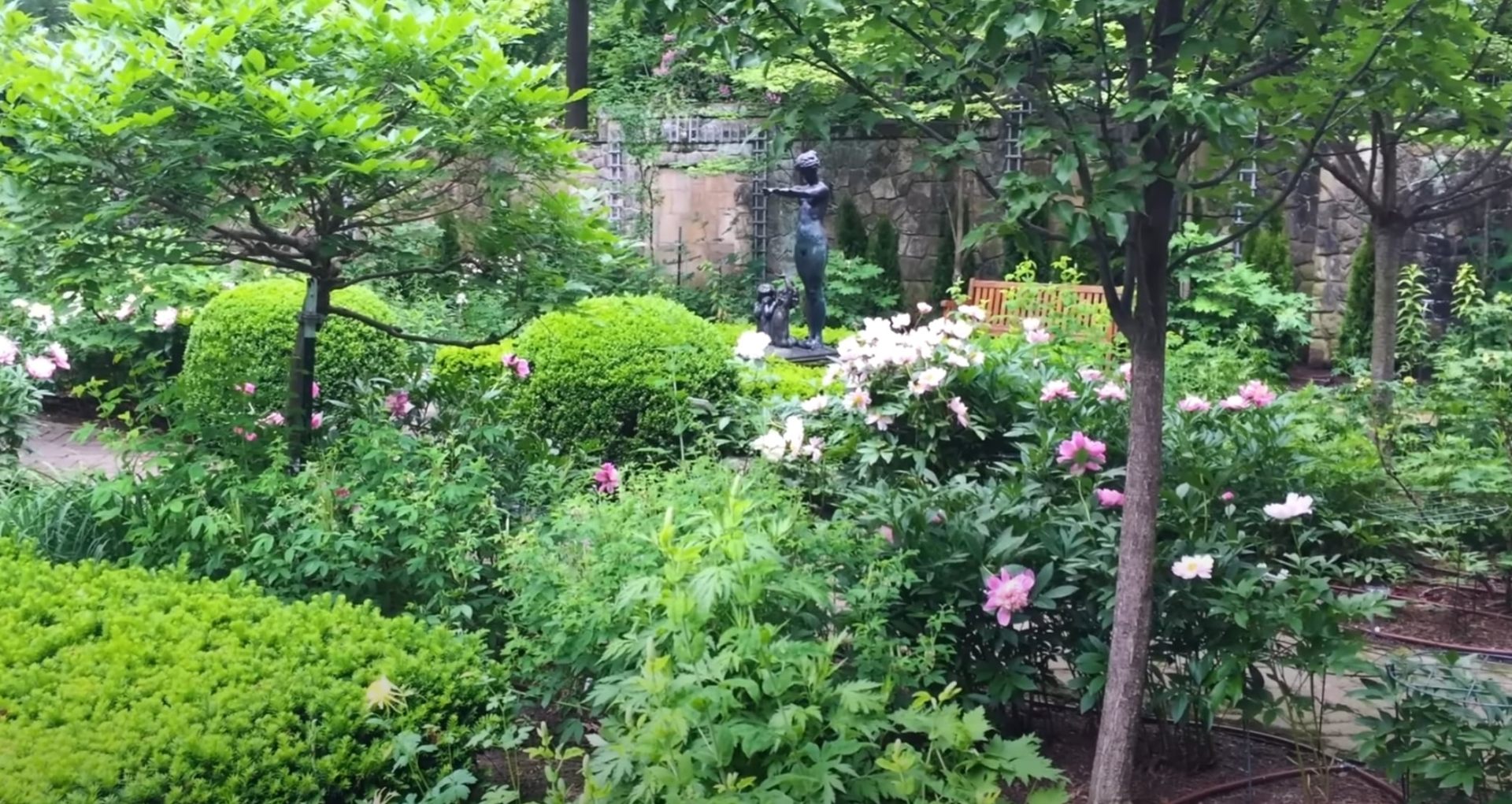 Comprehensive landscape installation with mixed plantings and hardscaping elements Lush garden landscape with flowering shrubs, stone features, and mature trees