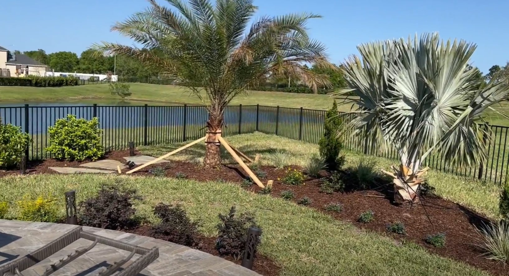 Professional landscape installation process showcasing tropical and native plant combinations Residential backyard with palm trees, ornamental plantings, and professional landscape installation